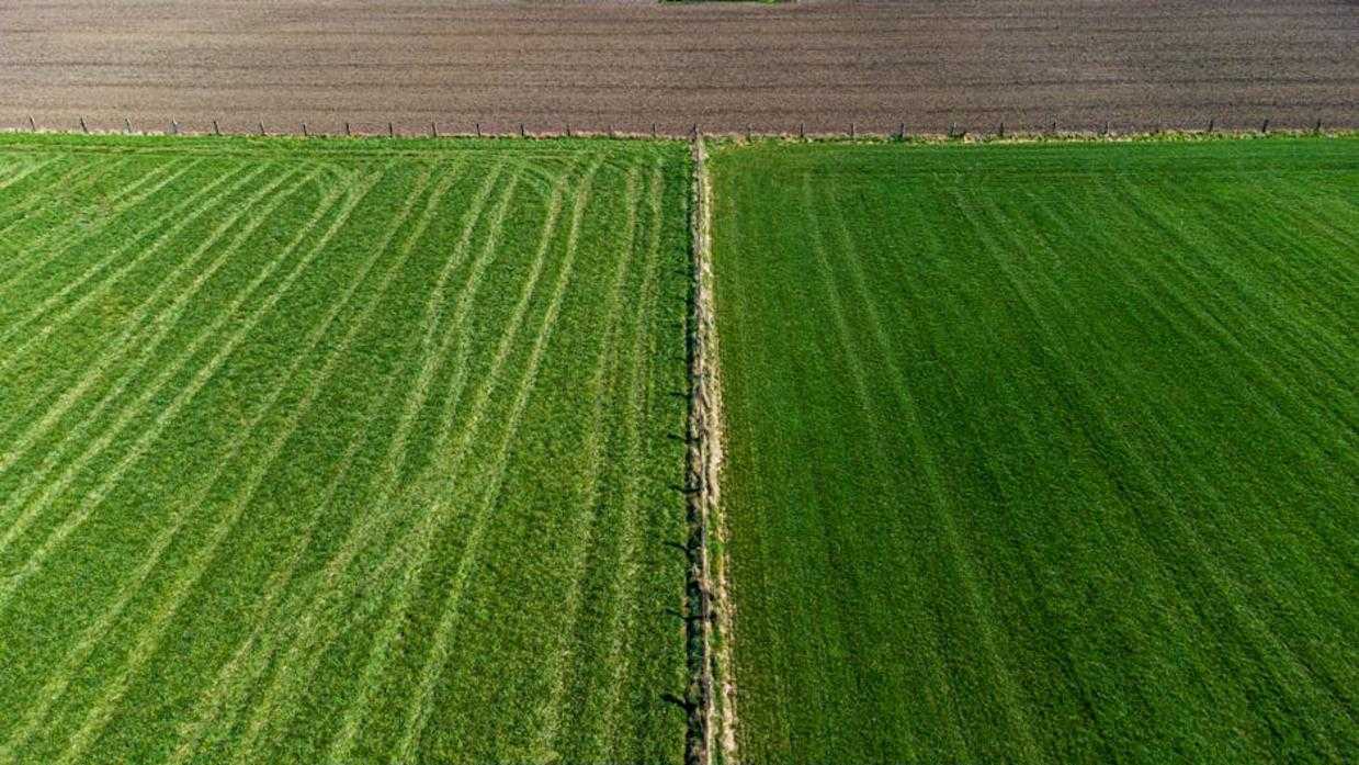 territory management