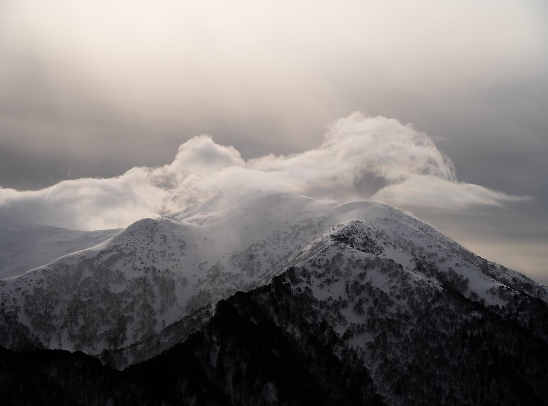 Tportstick Gaming Trends From Theportablegamer