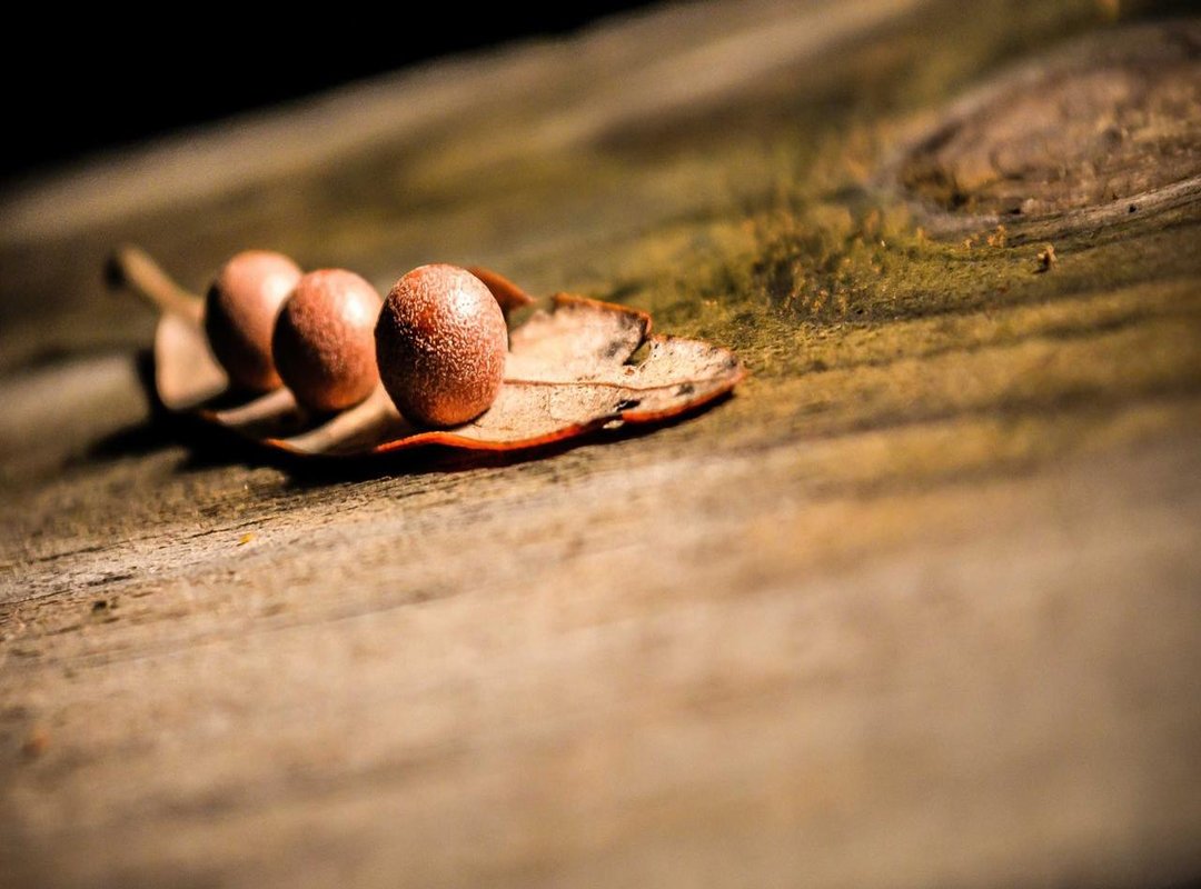 The 'Satanisten' Connection: Reviving Historical Moral Panics