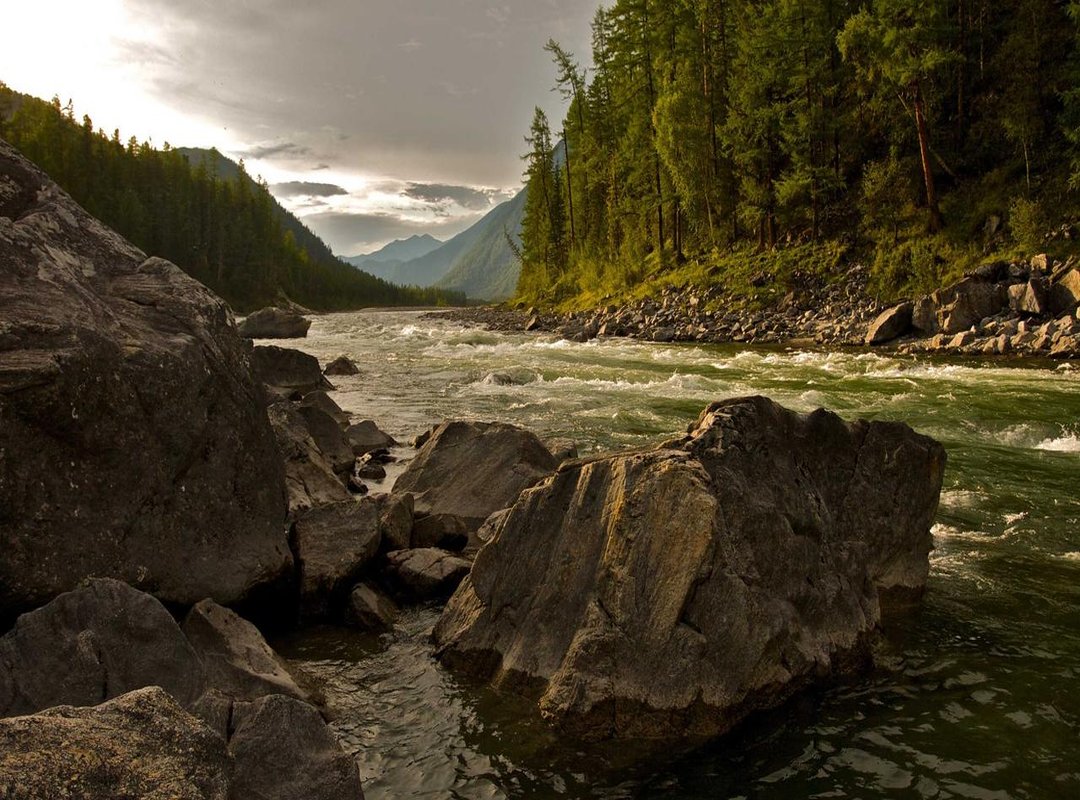 Important Details: Payment, Shipping, and Returns