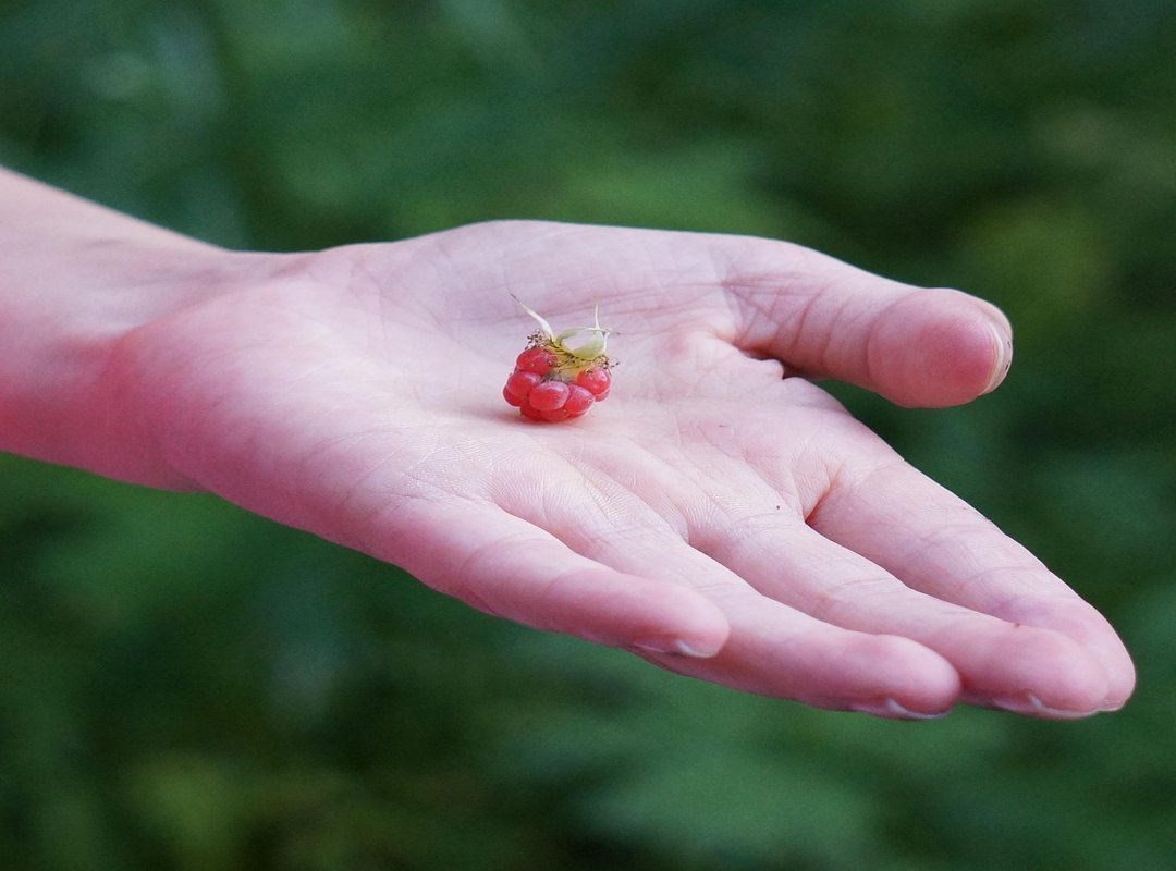 You're Ready to Access Your Dashboard