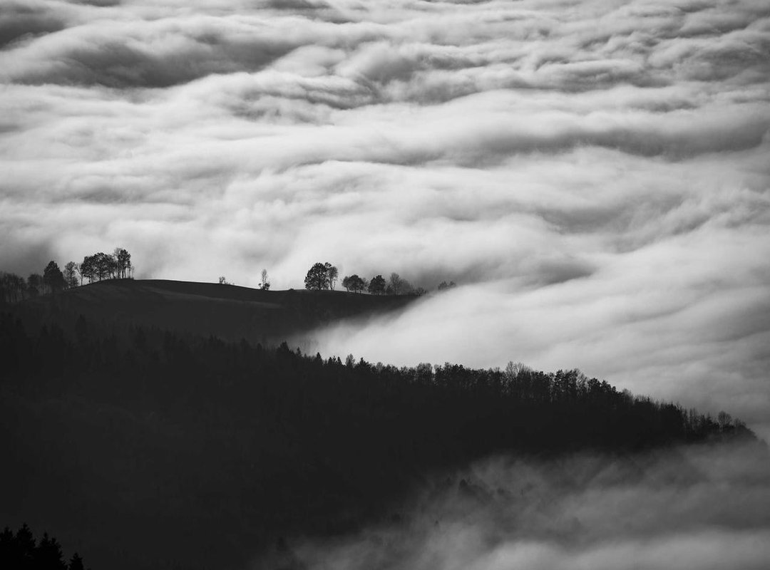 The Story in the Numbers: Key Statistical Comparisons