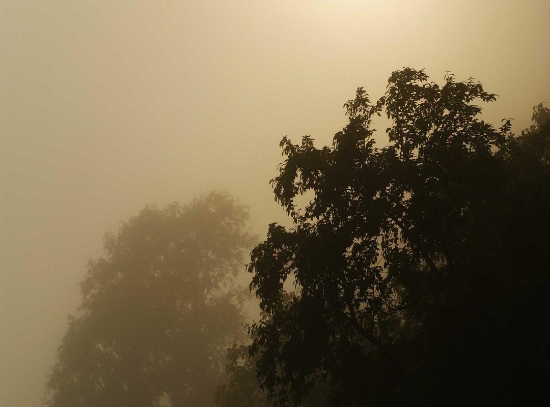 Daily Styling and Upkeep: Keeping Your Cut Looking Its Best