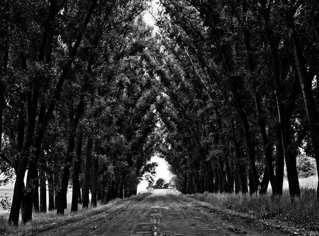 The Right Way to Reply: Responding with Grace and Meaning