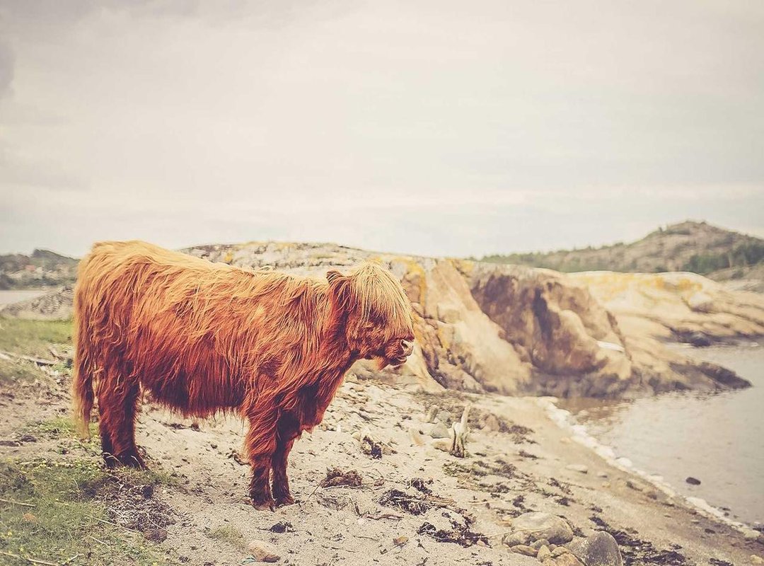Friendship Off the Ice: The Dynamic Between Two Champions