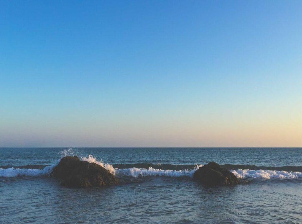 wie is siranoosh sayad