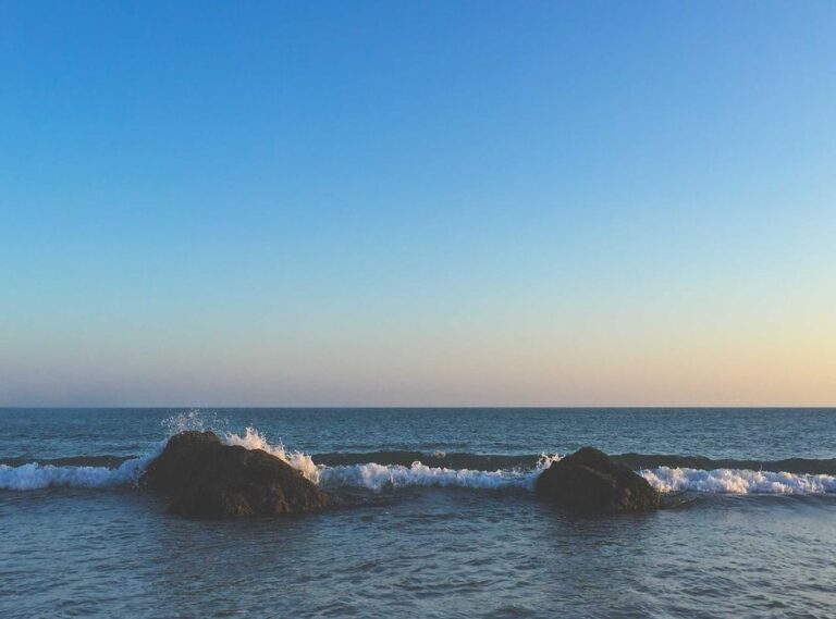 wie is siranoosh sayad