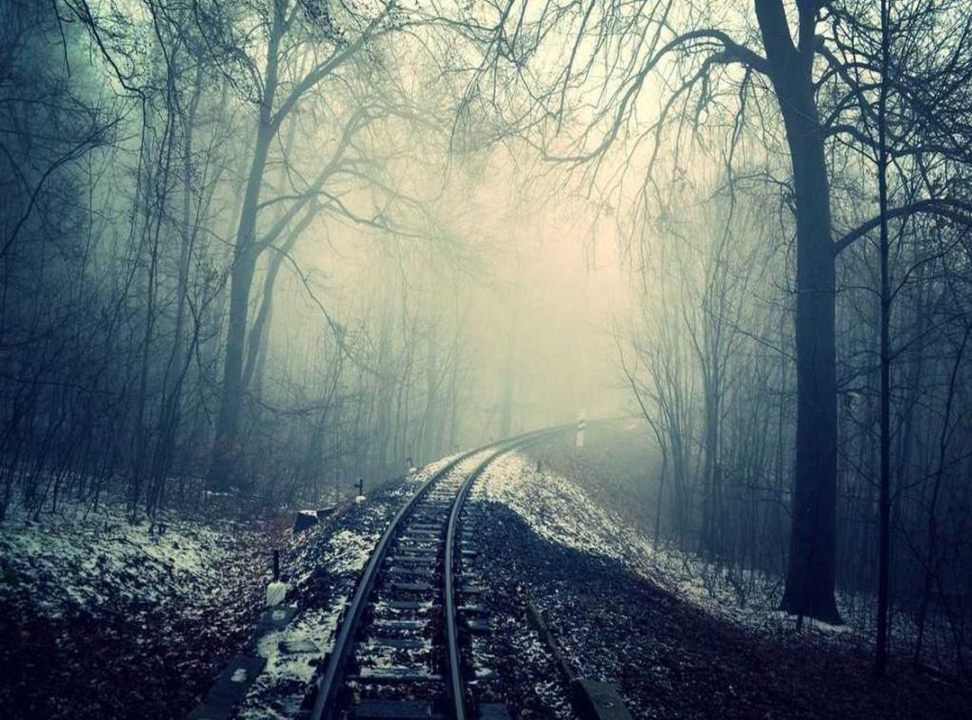 Your Reward: What Unlocks After Solving the Puzzle