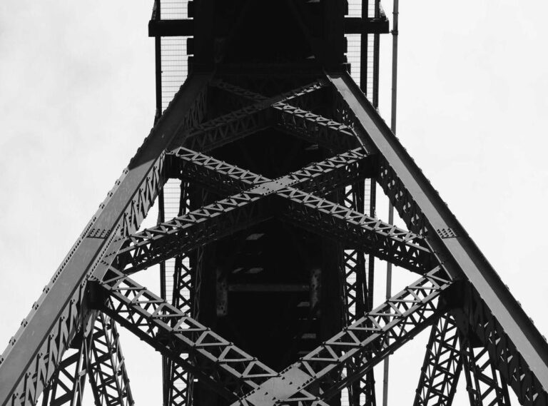 xxv xxviii, xxix xxvii xxiv, xxv